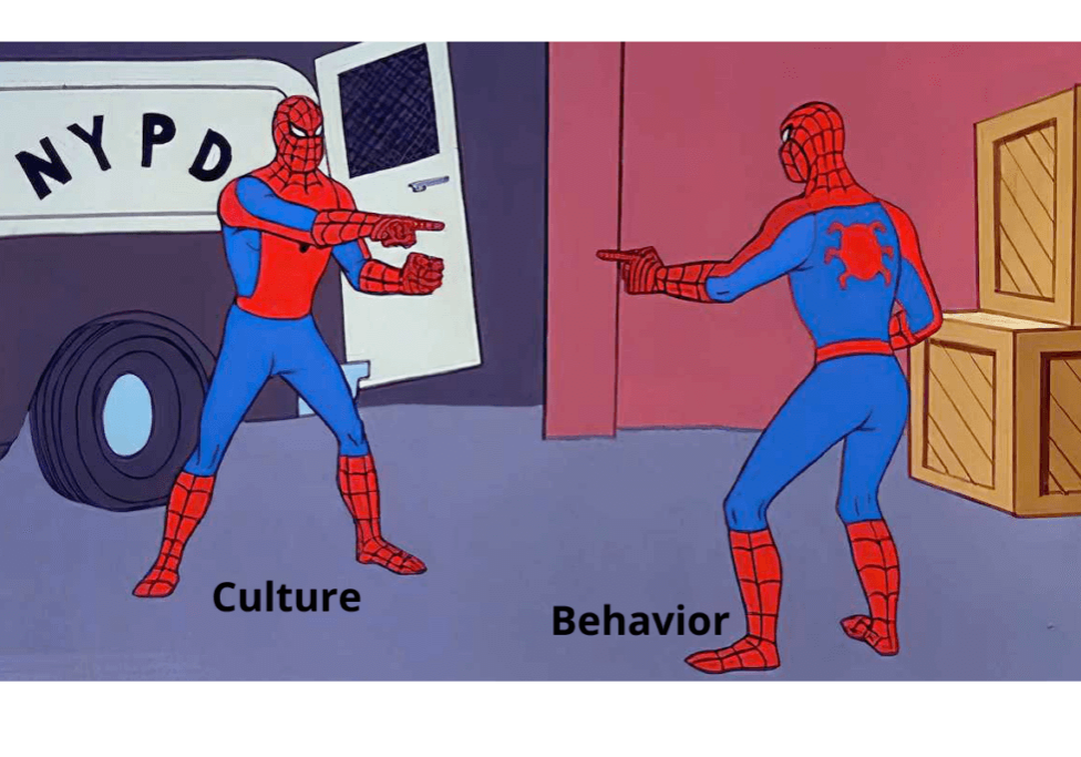 culture vs behavior